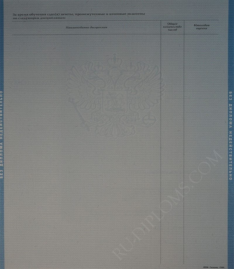 Диплом бакалавра 1997-2003 год  