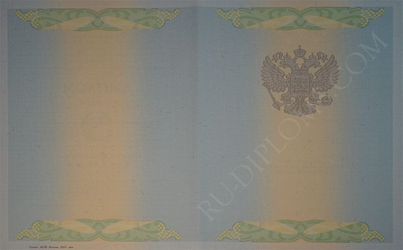 Диплом бакалавра 2004-2009 год  